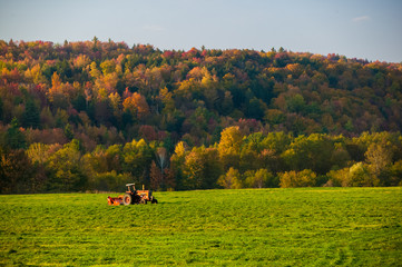 Obraz premium Old farm tractor in a field.