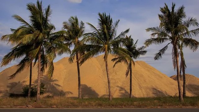 wind shakes palm trees by road against building sand heaps	