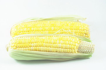 corn / Fresh corn isolated on white background