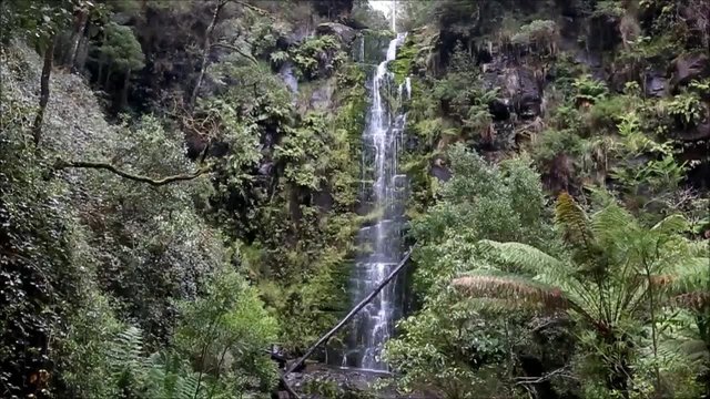 The Erskine falls in The Otways near Lorne, Great Ocean Road, Australia,  drop 30 metres in to the fern-lined valley of the Erskine River. 