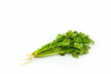 Bunch of coriander.