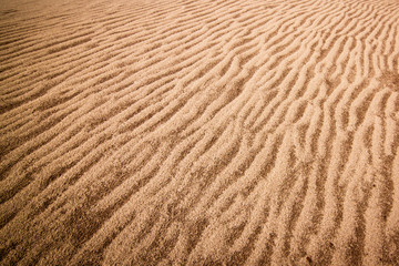 Marks on the desert wind