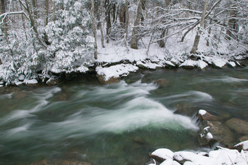 Snow covered pine trees on the side of a river in the winter.