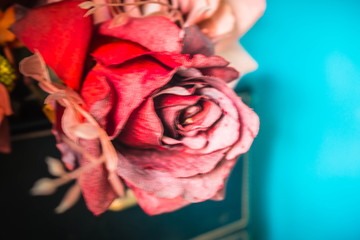 Red roses with blurry images