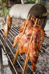 hot roasting chicken on smoked grill barbecue