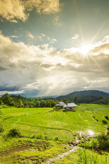 Terraced rice field with sun rays and dramatic sky in Pa Pong Pieng. Chiang Mai ,Thailand.