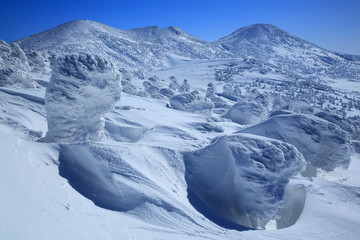  青森県　八甲田の樹氷 
