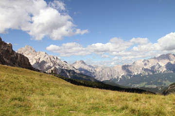 Almwiese mit Blick auf Berggipfel