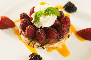 Fancy raspberry and strawberry dessert.
