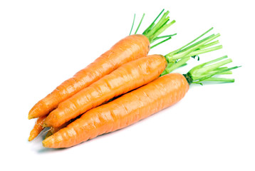 Fresh carrots