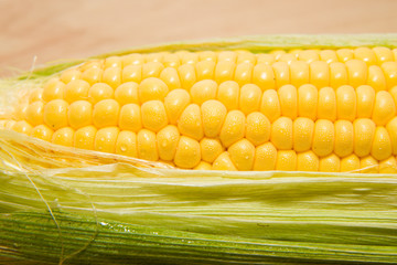ripe corn on the cob with water drops on grains