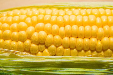 ripe corn on the cob with water drops on grains