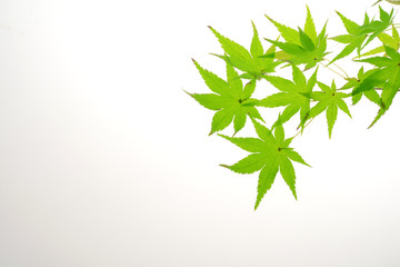 가을풍경, 소품, 가을 이미지 