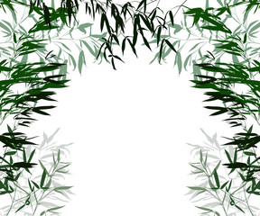 half frame from green lush bamboo leaves