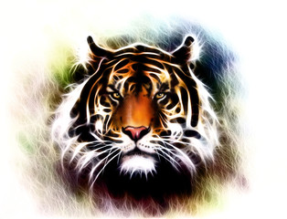  tiger head on a soft toned abstract background 
