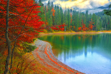 lac pittoresque dans la forêt d& 39 automne