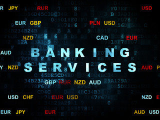 Fototapeta premium Banking concept: Banking Services on Digital background