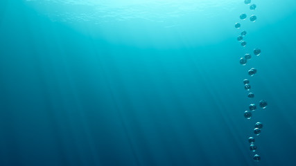underwater view