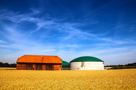Barn and biogas plant
