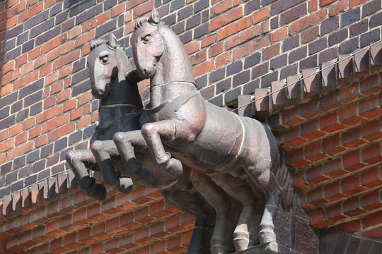 Pferde