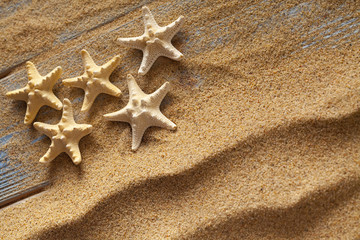 Starfishes on sand and planks
