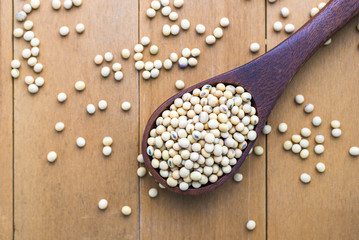 Obraz na płótnie Canvas soybeans