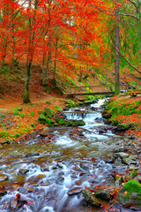 Panele Szklane  rwąca górska rzeka jesienią