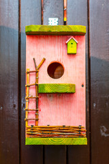 Cute little blue, yellow and pink birdhouse with orange flower and vines hanging on a rustic old wooden fence