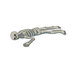 Laying skeleton