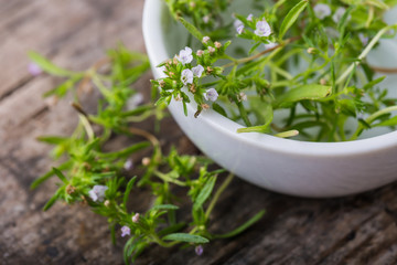 Fresh savory in bowl