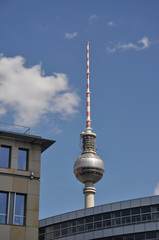 Fototapeta premium Berliner Fernsehturm