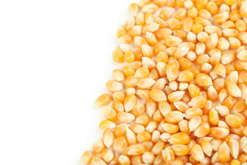Dried corn grains on white background