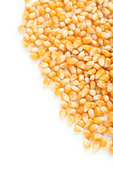 Dried corn grains on white background