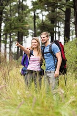 Fototapeta premium Young hiker couple pointing