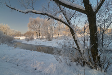 Winter morning scene on the river
