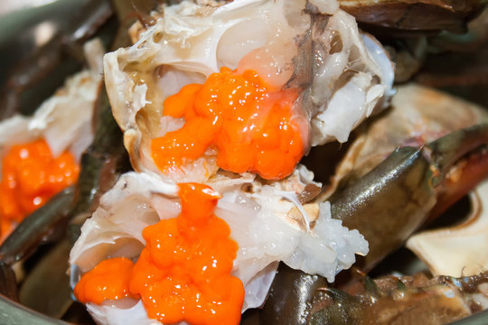 raw crab roe and meat