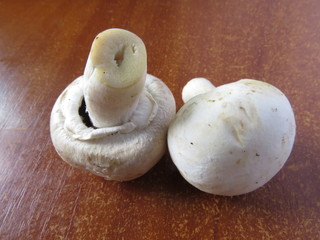 Two whole mushroom lie on the kitchen table.