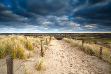Fototapeta na wymiar sand path to dunes and cloudy sky