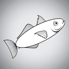 fish illustration