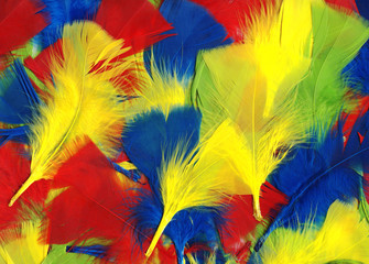 Multi coloured fluffy and soft bird feathers abstract background
