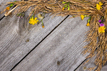 Autumn frame of dried grass and flowers