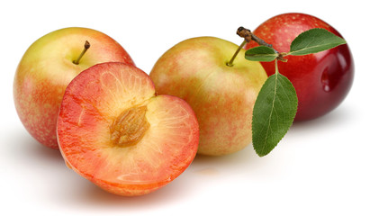 Plum