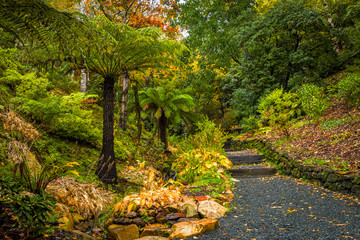 Peaceful scene of autumn in the park