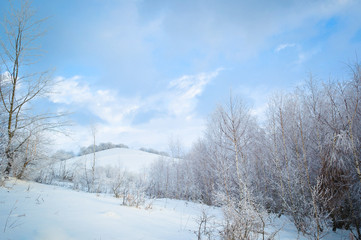 Fototapeta na wymiar Winter landscape background