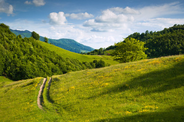 Fototapeta na wymiar A landscape of green hills in spring time. A country road is cutting through the immaculate grass, illustrating the idea of travel , tourism or exploring.