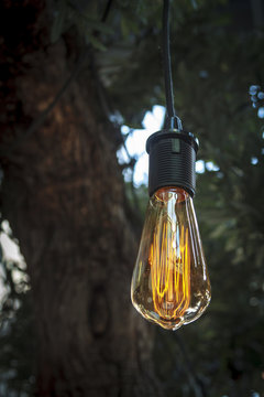 Edison style light bulb