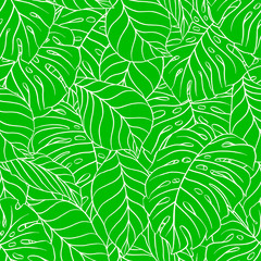 Naklejka na ściany i meble green palm leaves