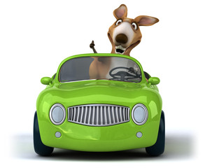 Fun kangaroo