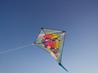 The kite