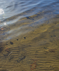 Sand patterns in shallow crystal clear water of the Hudson River. 